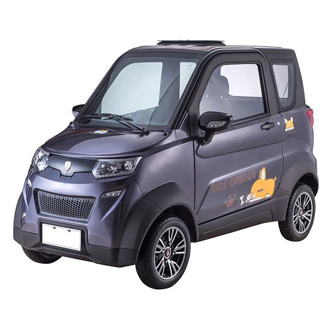 Лидер продаж от производителя электрических автомобилей для взрослых и небольших электромобилей в 2021