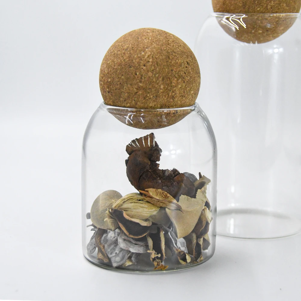 Clear glass planter terrarium vase for pot planting with wooden cork lid 500ml 800ml 1000ml tabletop DIY glass bottle