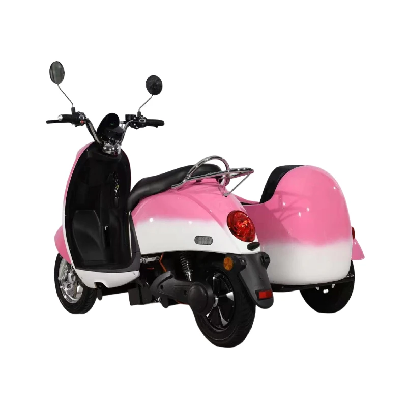1000W 60V easy operate powerful moped electric tricycle sidecar for picking up kids