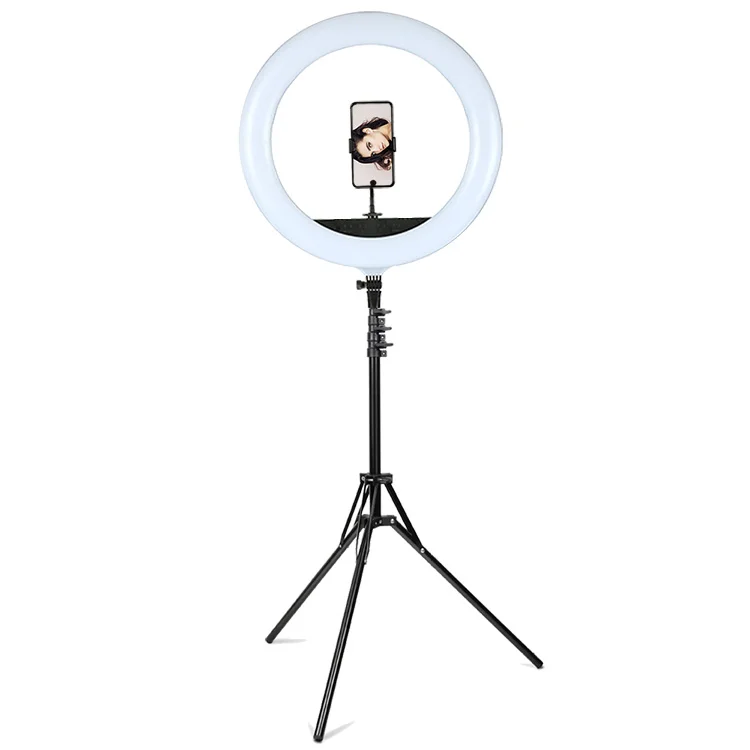 Rl480 3000k-6000k Charm Eyes Selfie Ring Light Portable Beauty Salon Led Light 18inch For Makeup/photo/studio/phone/video