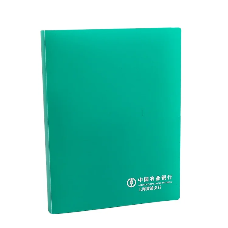 Hengyao New PP Top Quality Foldable Plastic File Folder with Metal Clip