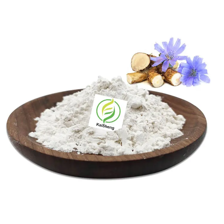 Wholesale Bulk Chicory Root Powder Supply Best Price Organic Inulin Powder 90% Inulin