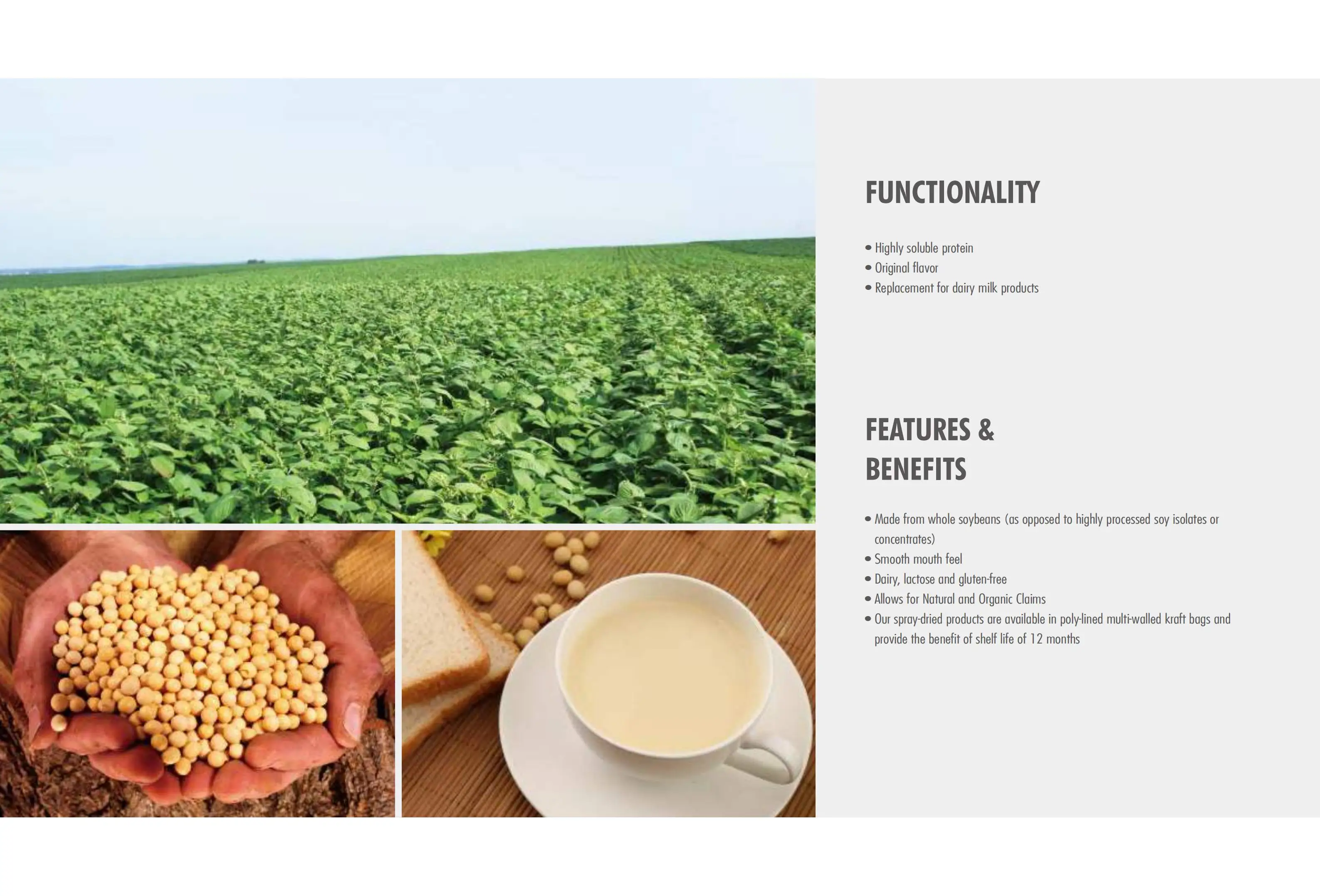 Dragon King Foods_03