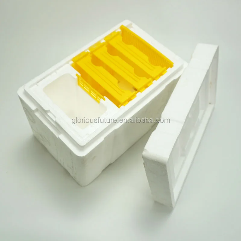 Beekeeping Plastic box for bee Honey Queen Bee Hive Nuc Box Mini bee Mating Boxes