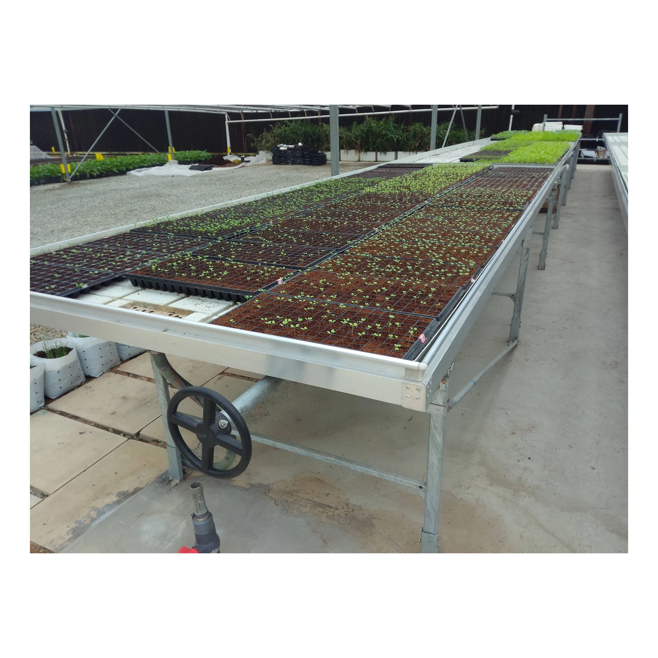 Greenhouse ebb and flow system plant nursery equipment flood tray tables hydroponic system rolling table
