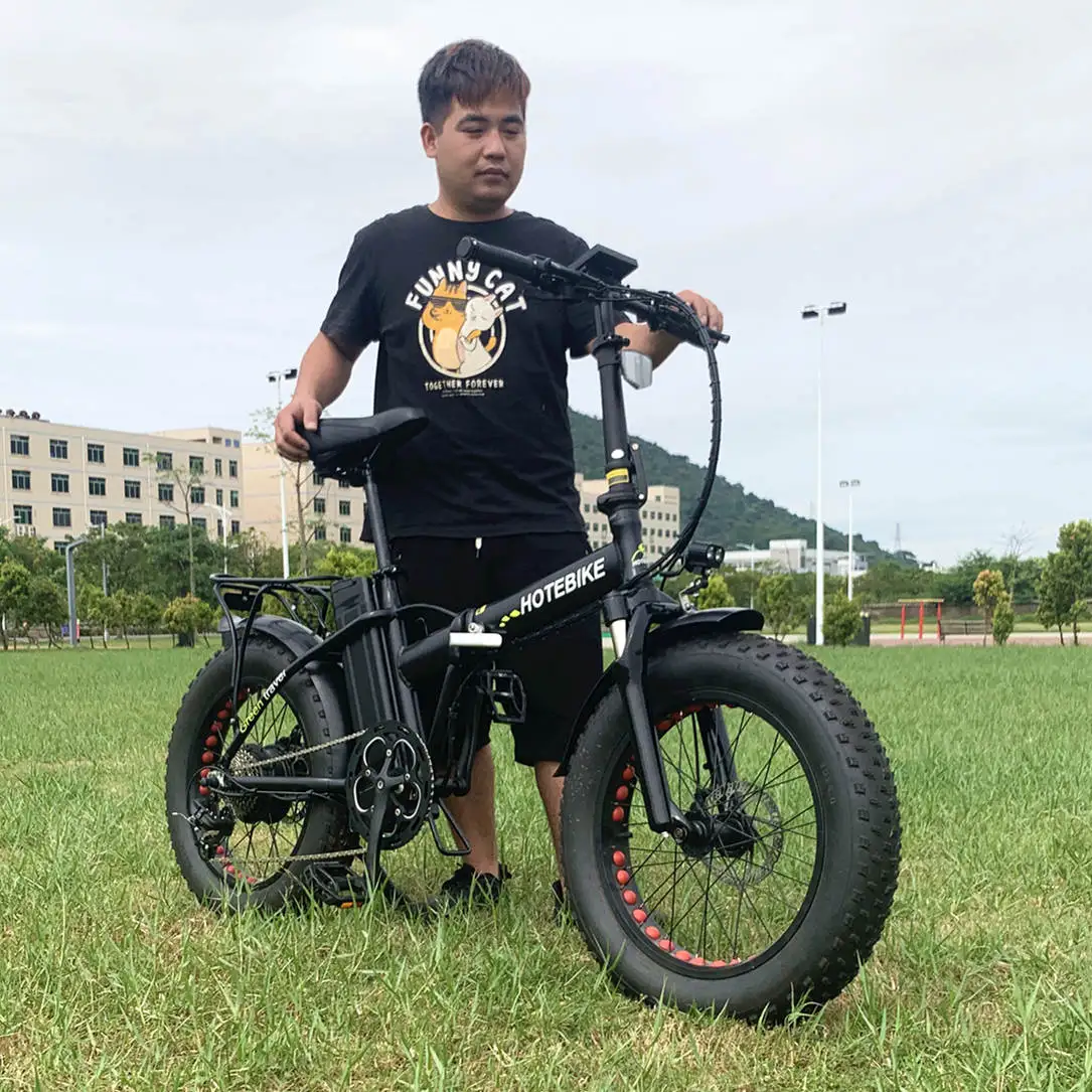 electric folding bike 750w fat tire 48V light weight electric folding bike 38V15AH folding electric bike 750w