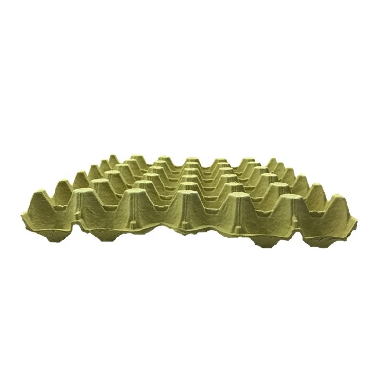 Universial Size Biodegradable Pulp Egg Tray 30 For Organic Eggs