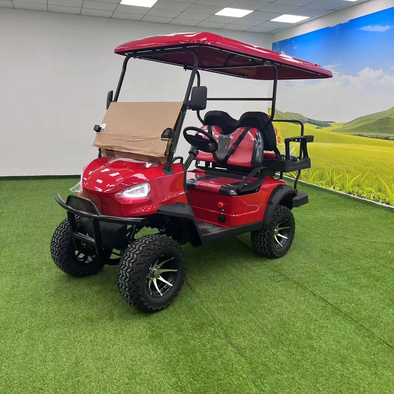 CycleGuy 110 км большой радиус действия 4 колеса на заказ внедорожник 4x4 электрическая тележка для гольфа