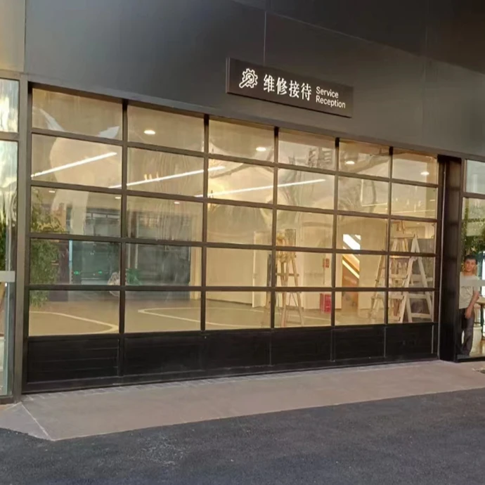 Modern Style Customization Flood Barrier Glass Garage Door Pane Automatic System for Villa