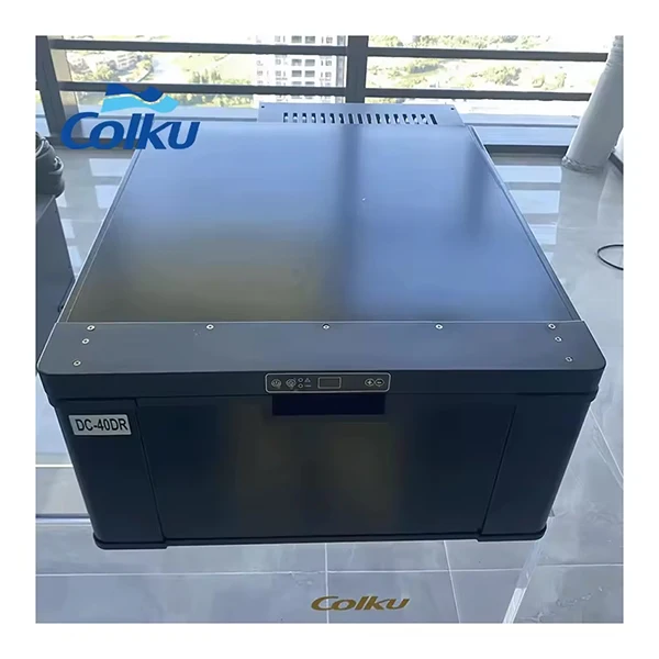 Rapid Cooling 12V Cooler Upright Fridge 40L Car Refrigerator Built In Drawer Freezer