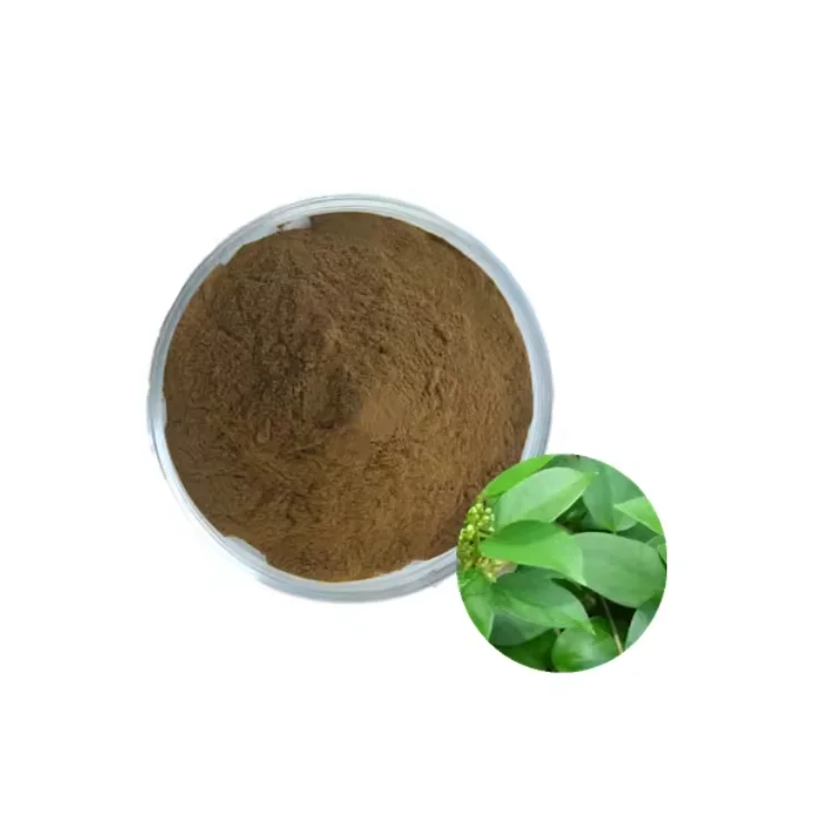 gymnema sylvestre extract powder gymnema leaf extract Gymnemic Acid 25% powder