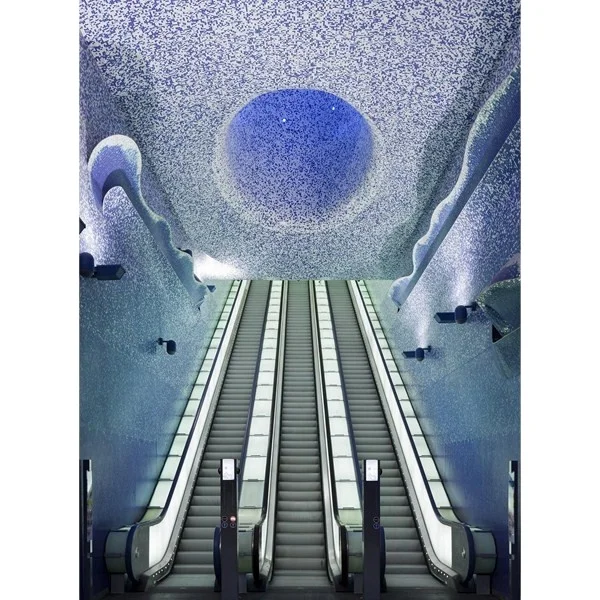 CE ISO Approved Safety Shopping mall In Home Escalator 800mm 30 and 35 degrees escalator price