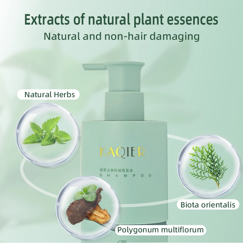 Wholesale Factory High Quality Fluffy Refreshing Anti Hair Loss Shampoo Natural Plant Formula Hair Dandruff Treatment Product