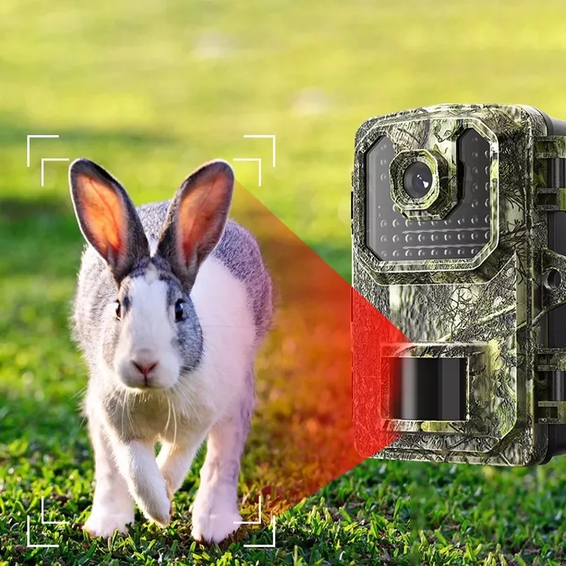 Outdoor security 2K FHD PIR Night vision hunting Cameras with 42 lights IP66 Waterproof wildlife trail cam