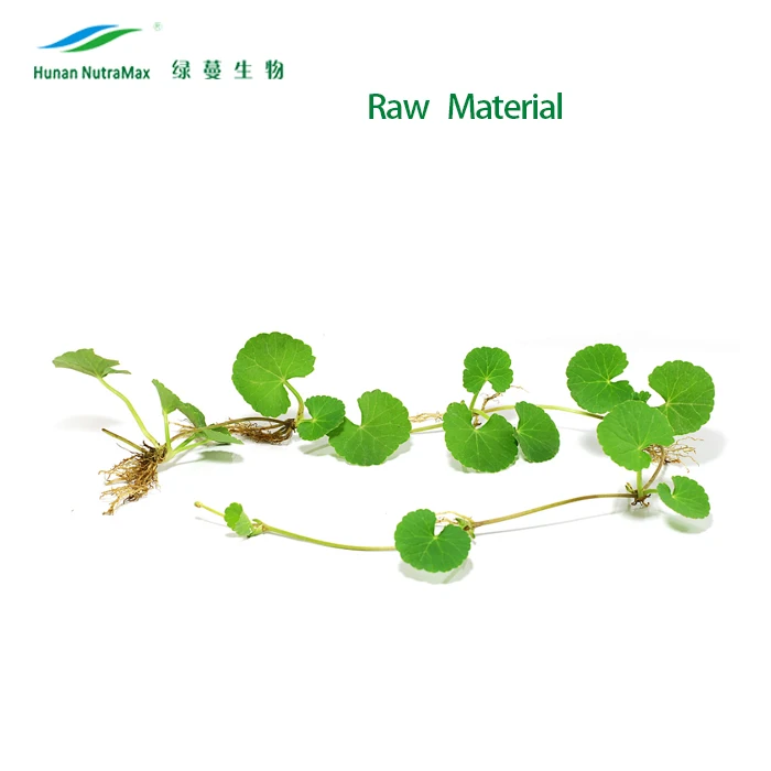 Gotu Kola порошок 5%- 95% Madecassoside Cas 34540-22-2 Centella Asiatica экстракт