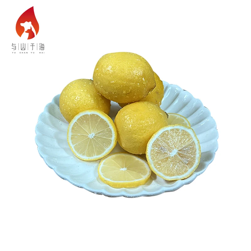 Health Sour And Cool Fresh Yellow Lemons Fruit Fresh Lemon For Sale