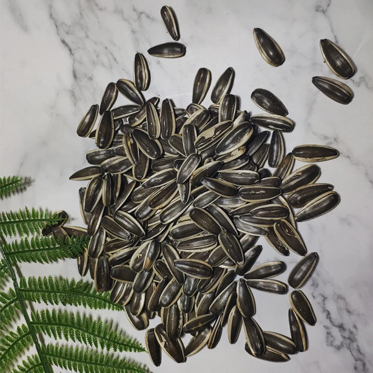 Sunflower Seeds For Planting Chinese Sunflower Seed Kernel
