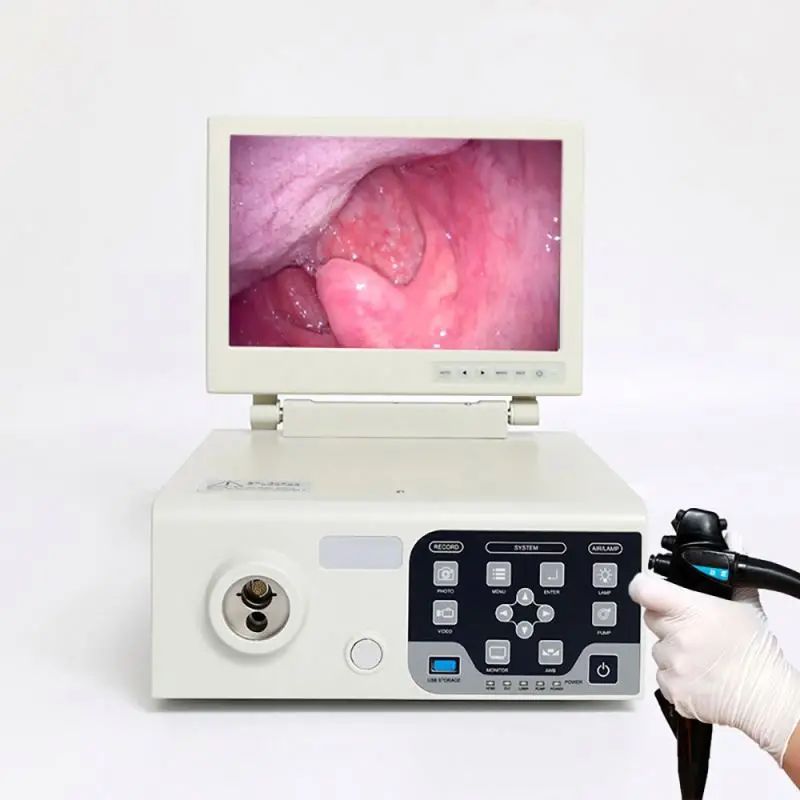 High Quality Portable Veterinary Endoscope Gastrointestinal Endoscopy Camera for Pet Clinics and Animal Hospitals