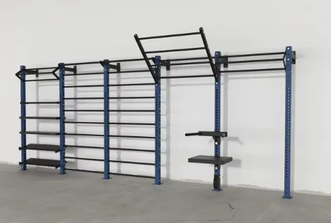 Wholesale Steel Training Rack Customized Rack  Rigs Climbing Racks