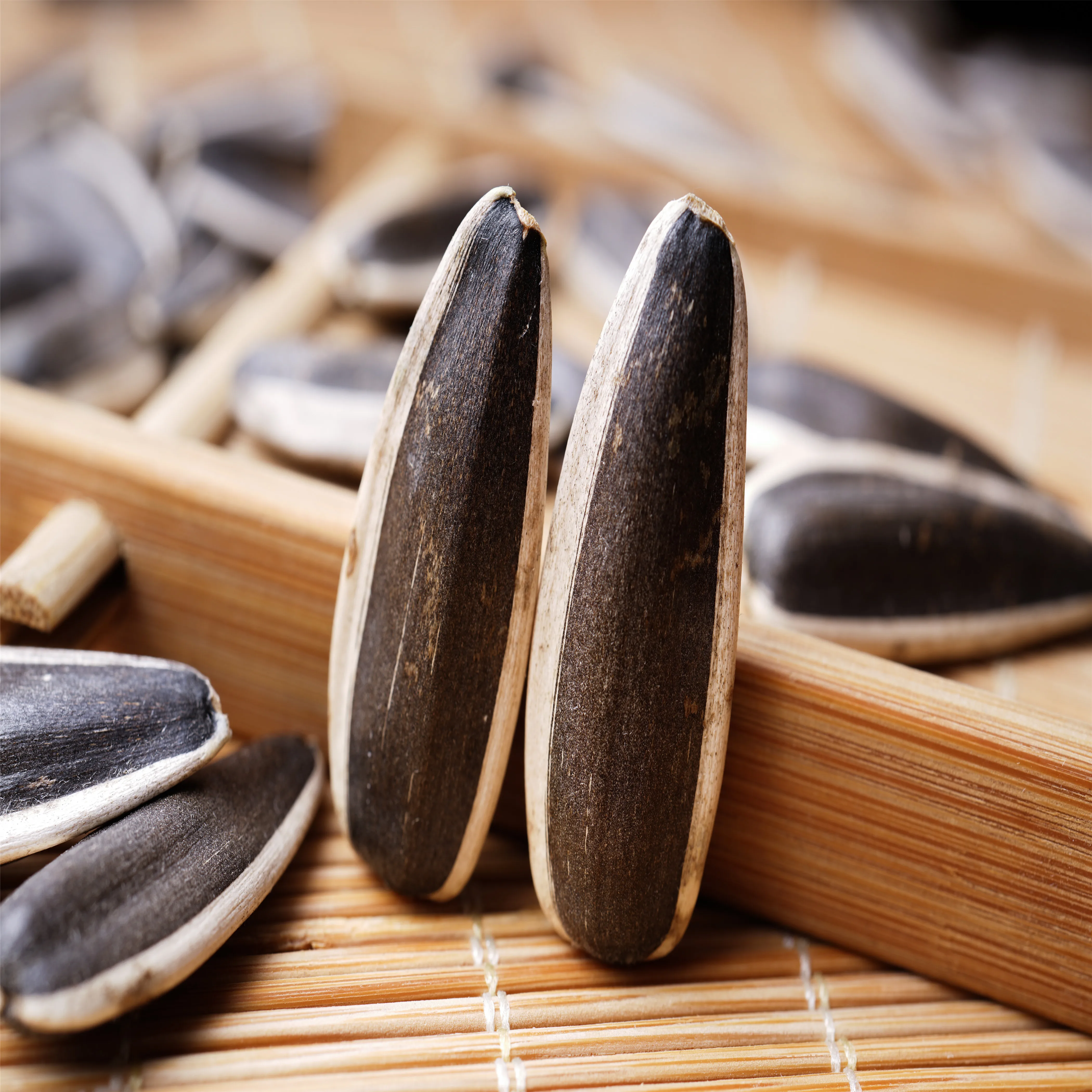 China Wholesale CHENG TAI  Organic Bird Food Black Sunflower Seeds