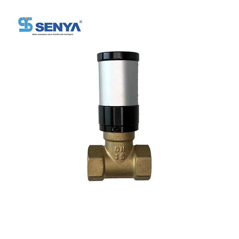 Q22HD Series Two Position Two Way Pneumatic Piston Air Control Solenoid Valves Fluid Air Control Pneumatic Valve