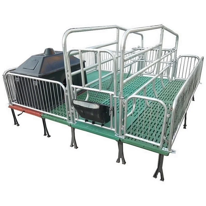 Equipment for Animal Husbandry and Pig Breeding Hot Dip Galvanized Pipe Pig Double Sow Farrowing Bed for Sale