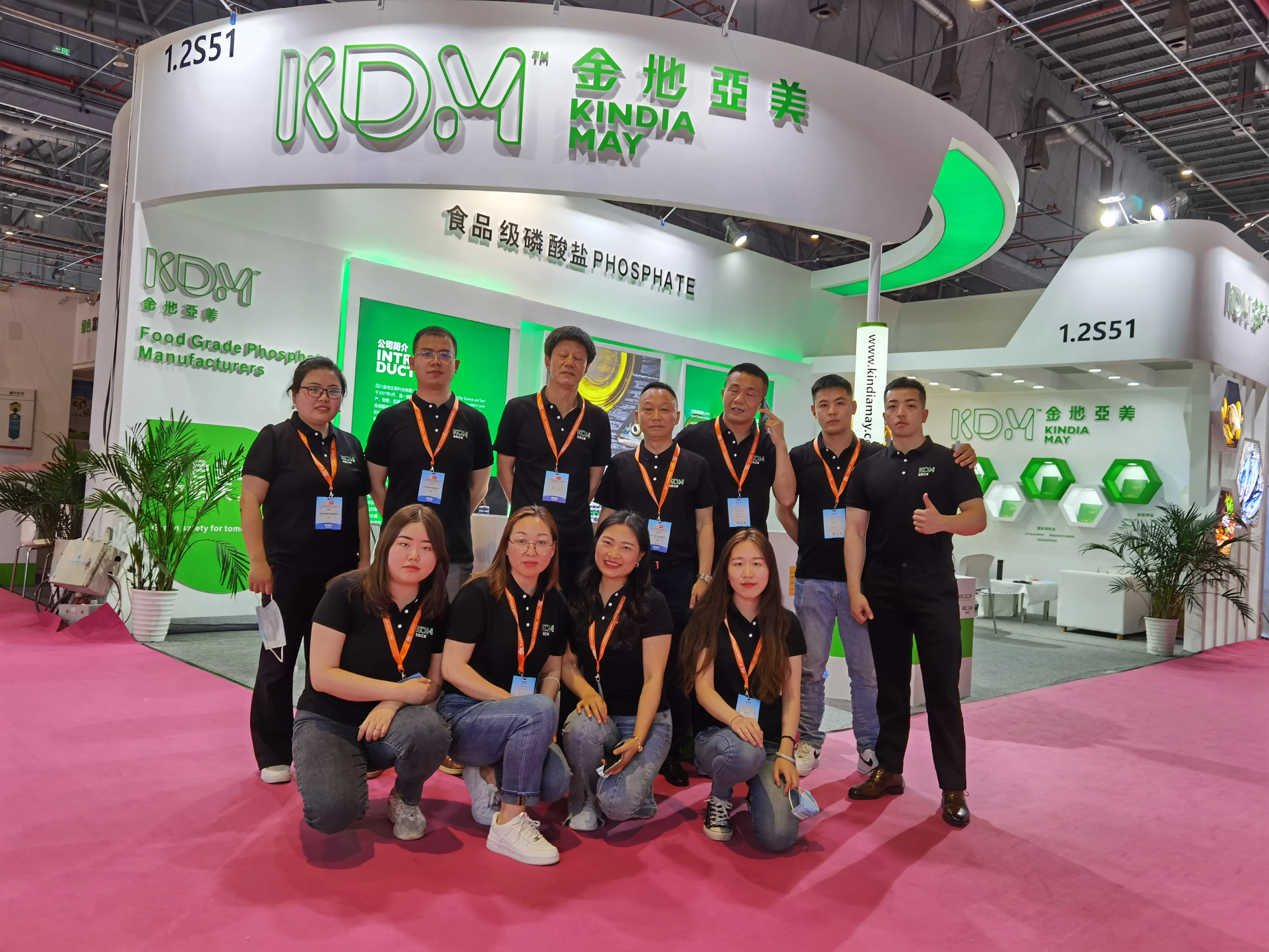 High Quality Food Grade High purity DKP KH2PO4 CAS 7758-11-4