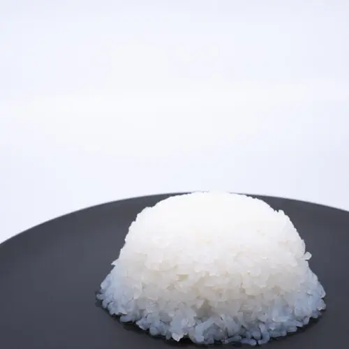 organic food keto friendly Low Carbs konjac shirataki rice