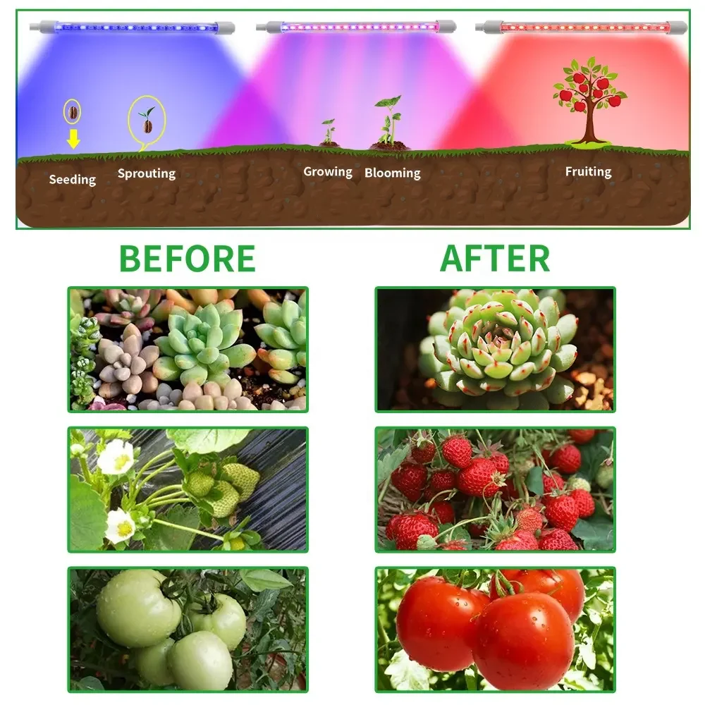 10W Led  Full Spectrum Led Grow Lamp 10 Dimmer Led Grow Lights Strips 3 color Clip Led Grow Light