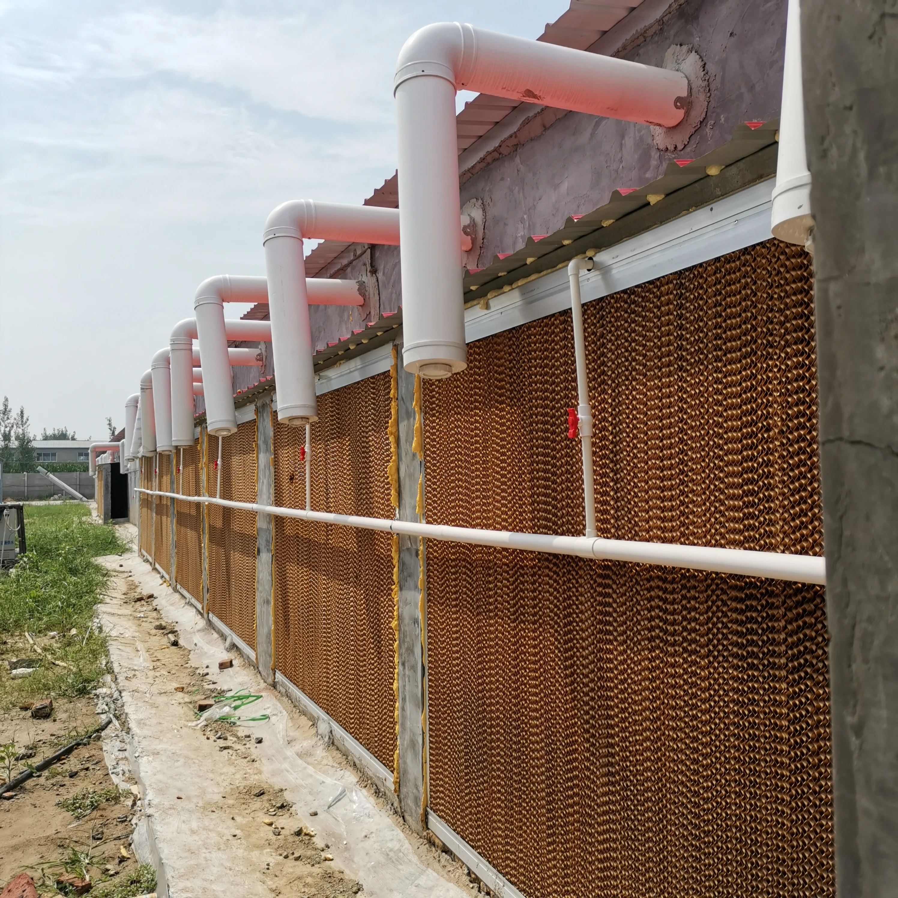 2024 Hot Sale Chicken Poultry Farm House Air Cooling Cell Pad System For Indonesia