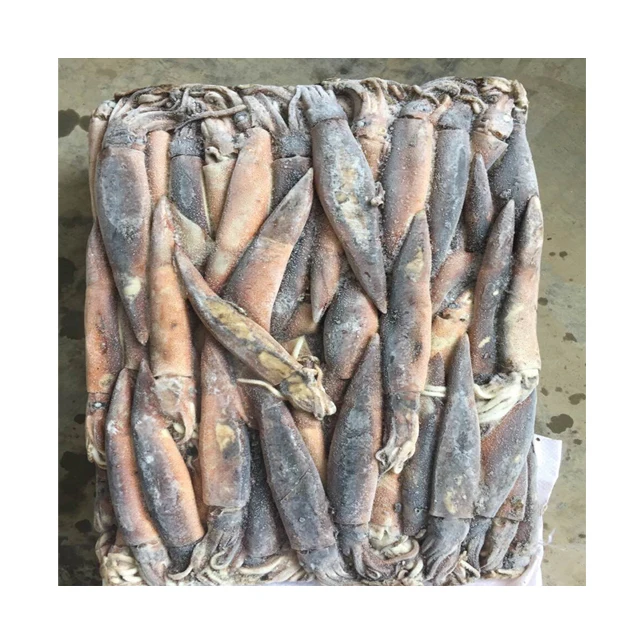 Frozen Illex Squid Under 100g