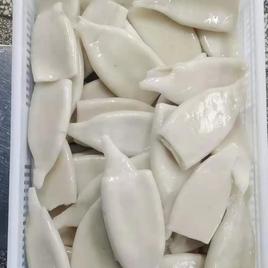 squid tubes frozen seafood U3 U4 U5 U7 For sale High quality wholesale factory outlet