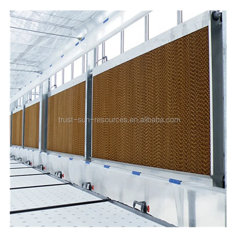Low Cost and High Quality Chinese Agricultural Greenhouse/Henhouse Wet/Cooling Pad