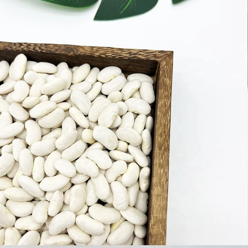 Large White Kidney Beans Hot Selling New Crop big White Kidney Beans Bulk Factory Price