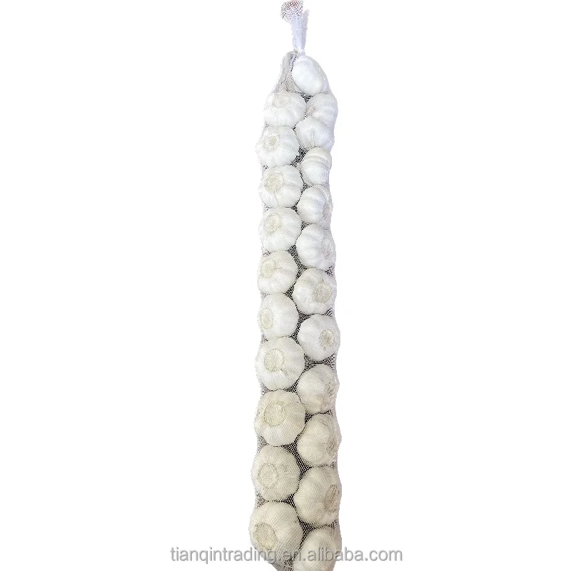 Fresh garlic for African market at factory wholesale prices