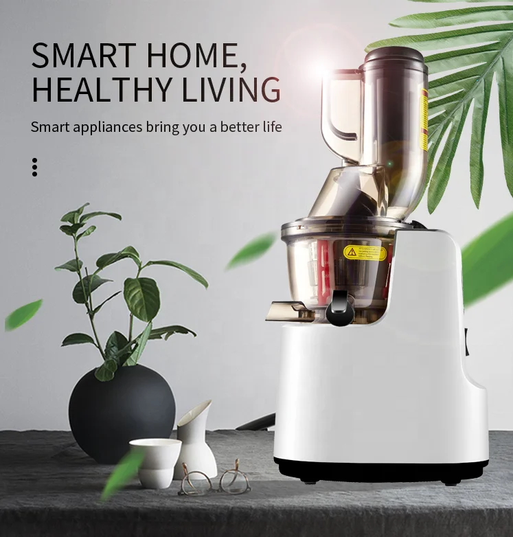 New up-grade pressing system hot sale masticate Juicer BPA free copper motor materials cold slow juicer
