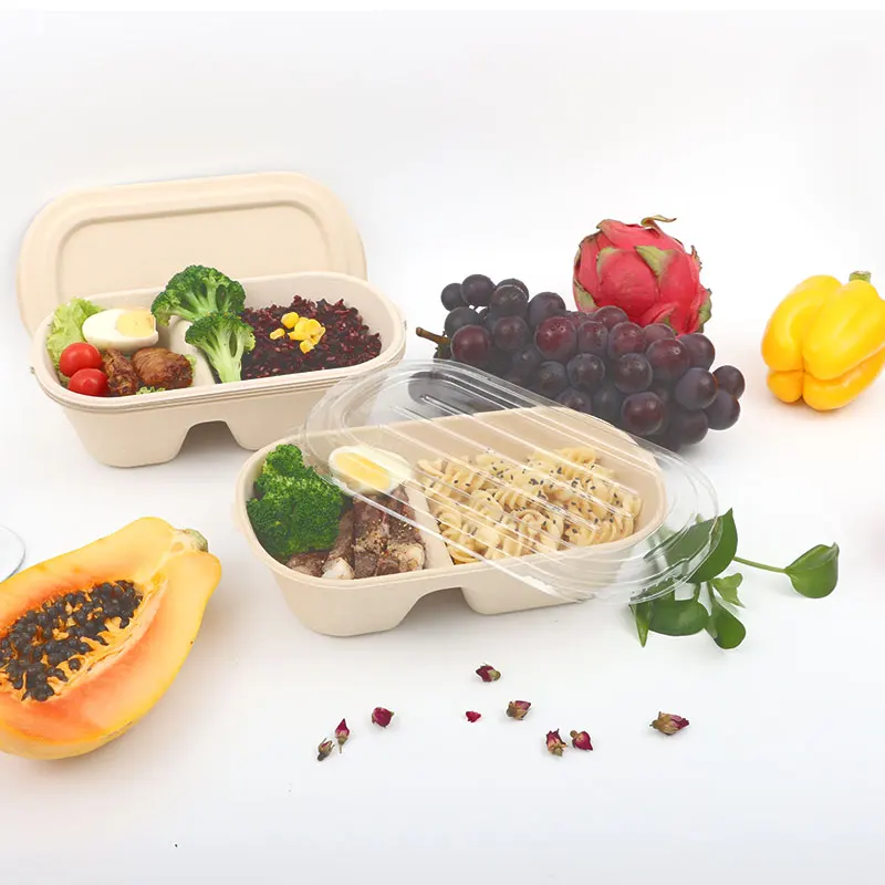 Disposable Biodegradable Sugarcane Bagasse Bamboo Pulp Food Container Take Away Lunch Box with Lid Camping Kitchen Free Modern
