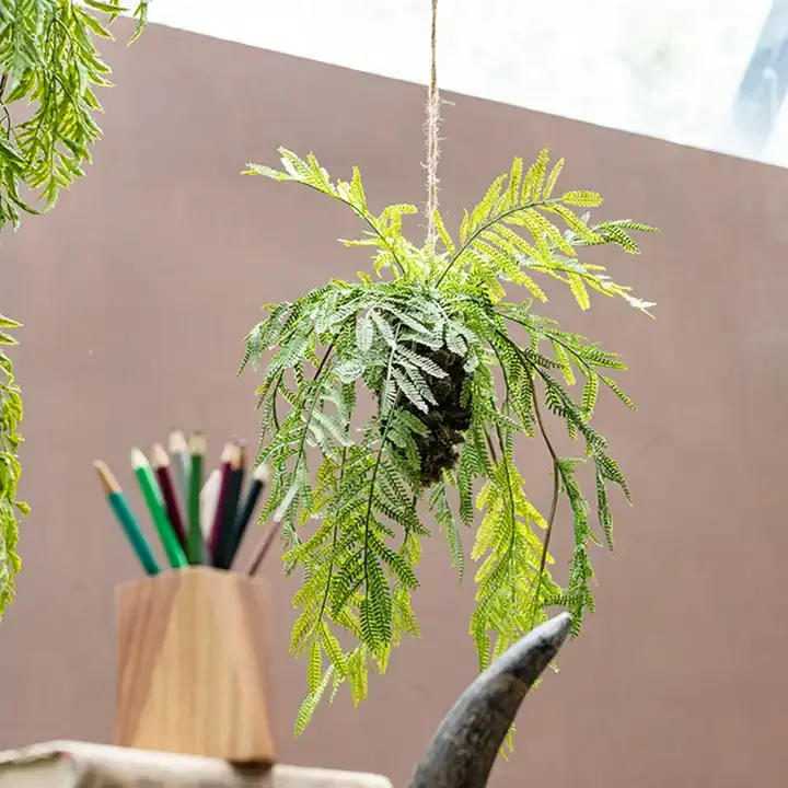 Simulation ferns plants in the air hanging ball hanging decoration green plants window decoration