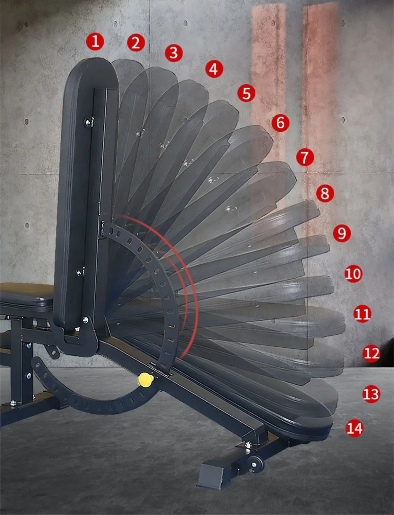 Gym Equipment Multi Adjustable Weights Bench Press For Dumbbell Exercise