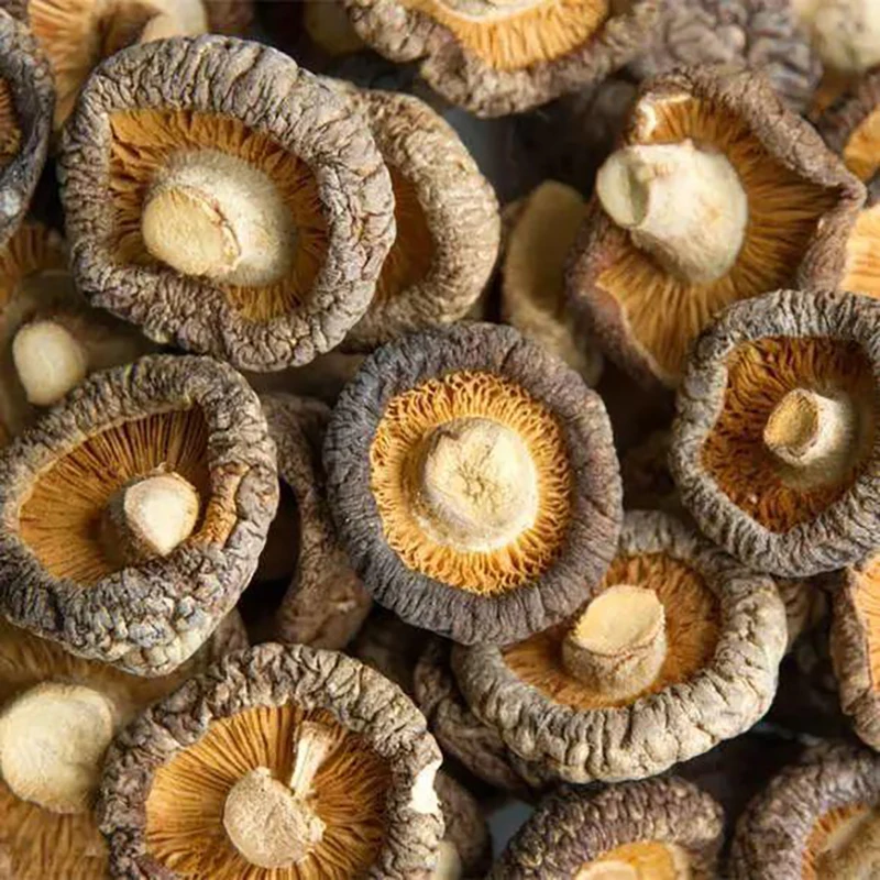 
wholesale top level lentinus edodes dried shiitake flower mushroom price 