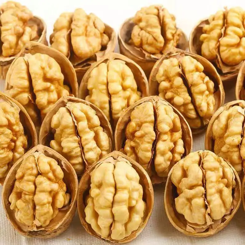 2023 New Listing 33 Xiner Chinese Walnuts in Shell 500g Bulk Dried Raw Style Walnut Kernels