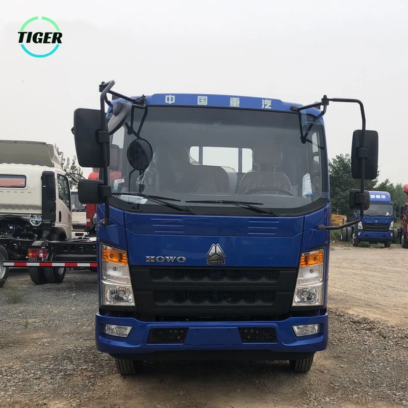 China Howo Sino 4ton 5ton Stock Single Double Cabin Light Duty Truck Dimension
