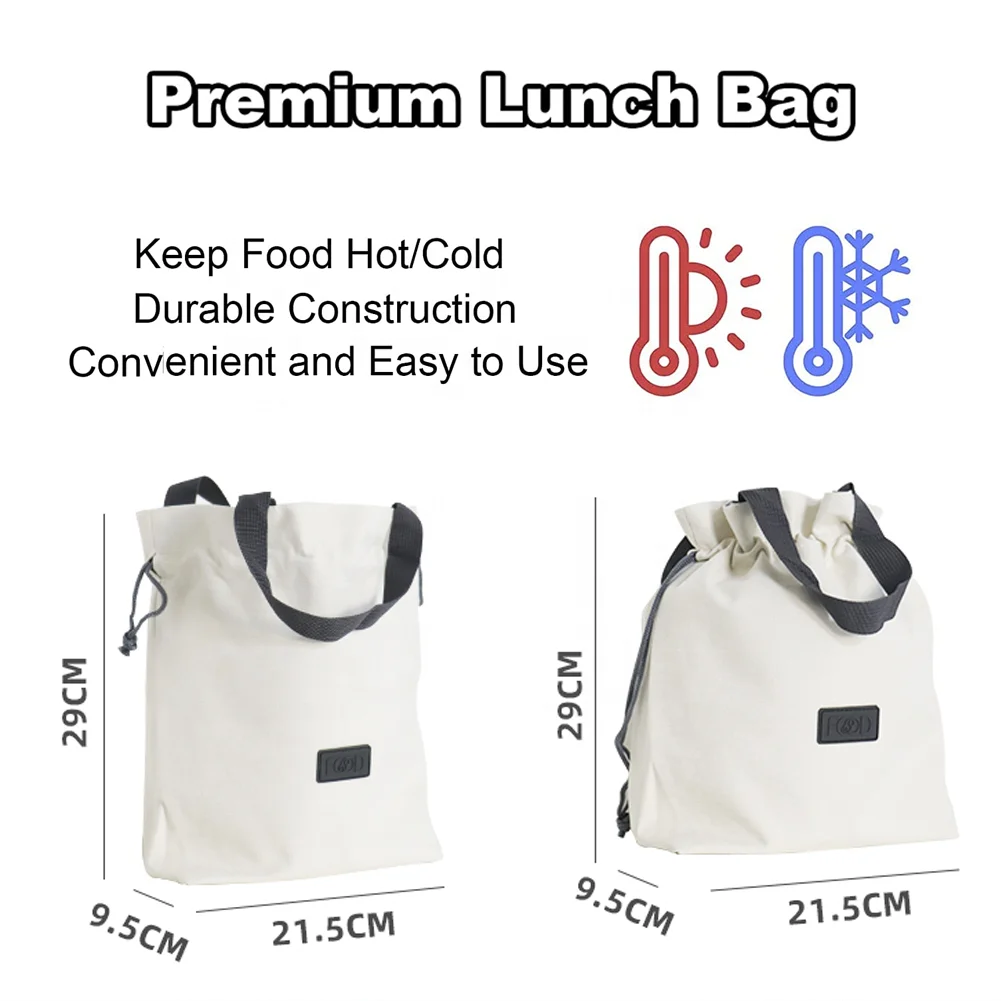 Japanese Double Layered Plastic Split Box Bento Box Lunch Box Set Stainless Steel With Bag And Bottle