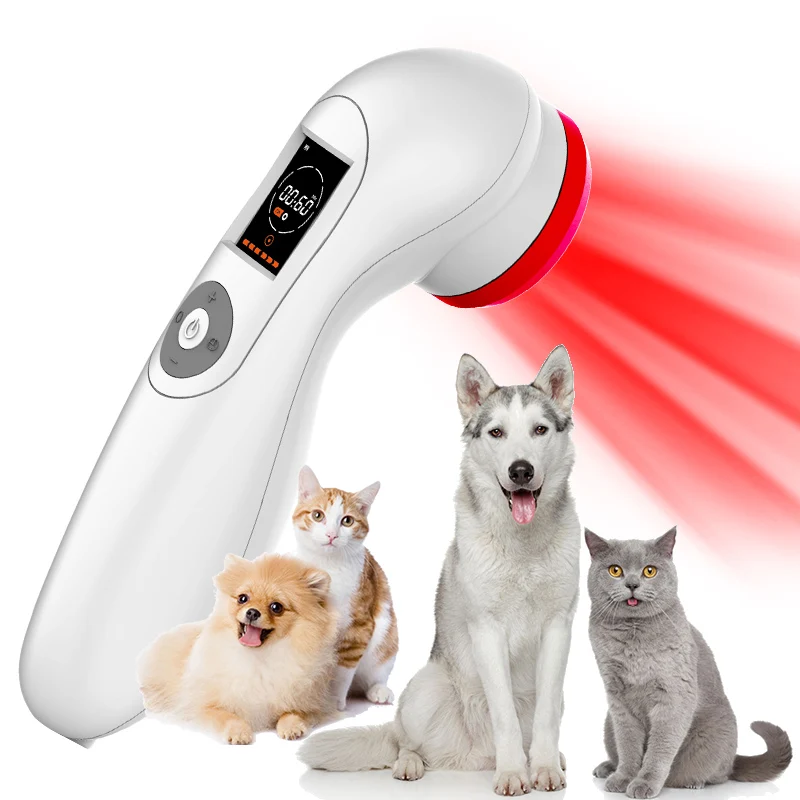 Wholesale 808nm 650nm Cold Laser Therapy Device For Horses Dogs Cats Injuries Recovery