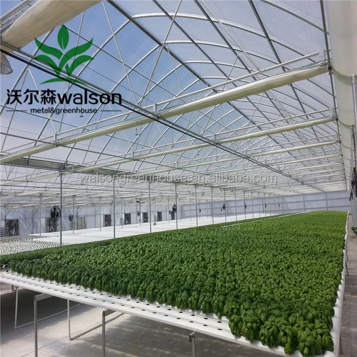 China Factory Export Cheap Greenhouse Farm Green House Design For Agriculture Production