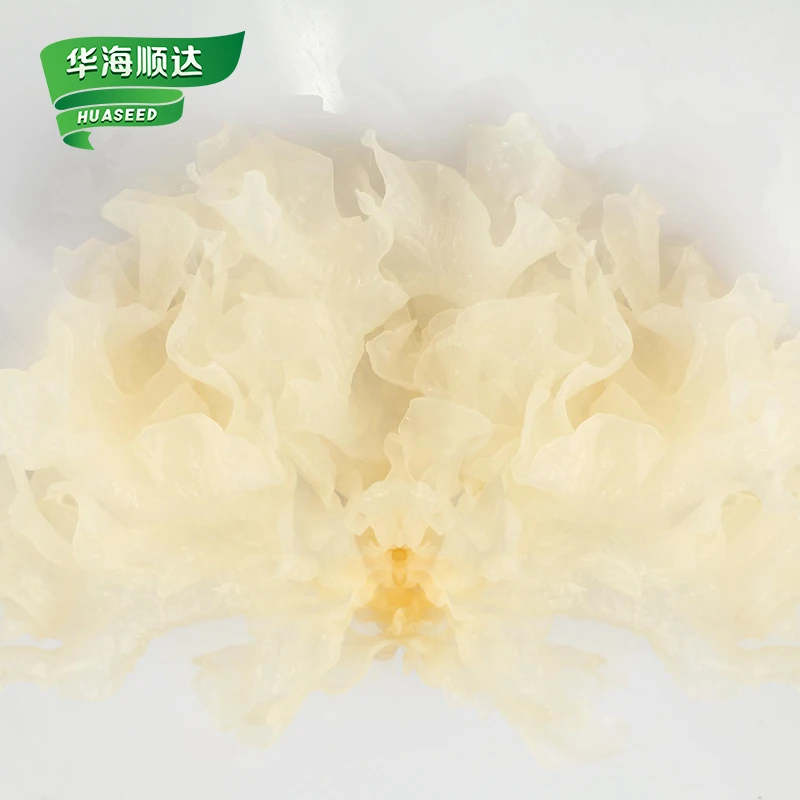 Chinese dried snow fungus high quality dried tremella fuciformis mushroom