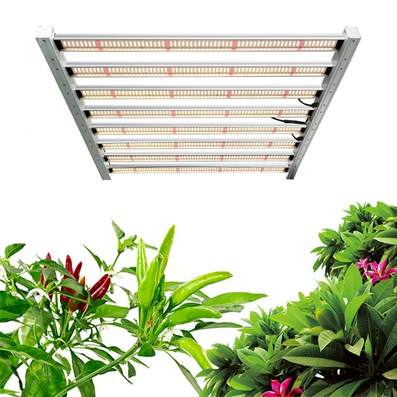 
New Arrival LEDBETTER 3500K 3.0 umol/J Greenhouse LM301b LM301h IR A8 650W Led Grow Light Bar 