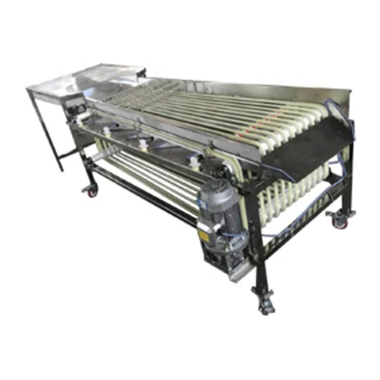 
Korean date dates sorting machine for sale 