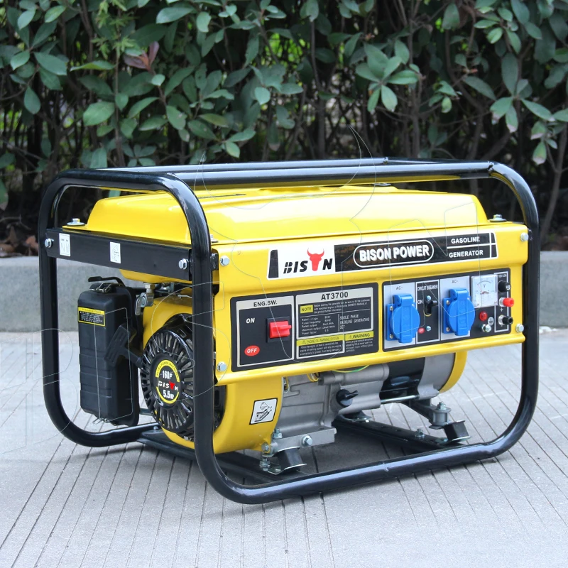 BISON(CHINA) 1000W 1Kw 1500 Watt 12 Volt Gas Generator Price