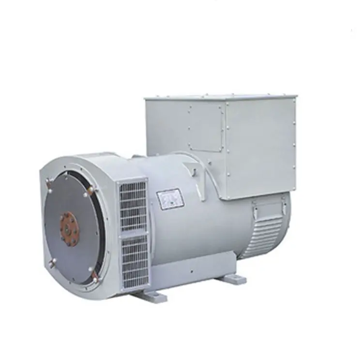 Stanford Brushless Synchronous AC Generator Alternator for Home Use